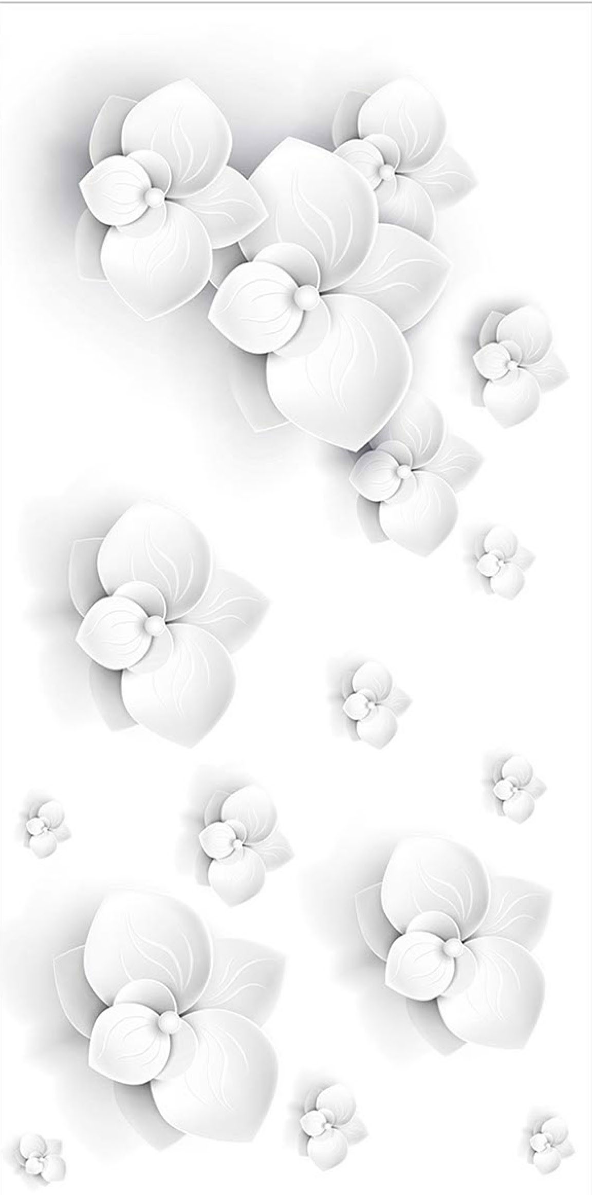 product image here